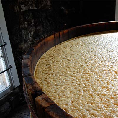 Spirit yeast for grain