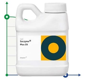 Enzymes