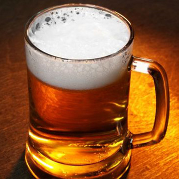 Yeast for beer