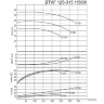 BTKF 125-315 Cantilever Single Stage Pump (1500)