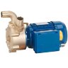 Вихревой насос для перекачки морской воды LIVERANI EPH 25 +BY-PASS, 60 л/мин, MF/L 0,45 кВт, 2800 об/мин, 220В, бронза