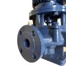 IRG BGL 25-125 (4/20), 0,75kW, 2880 Pumpe zentrifugal vertikal