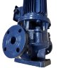 IRG BGL 25-125 (4/20), 0,75kW, 2880 Pumpe zentrifugal vertikal