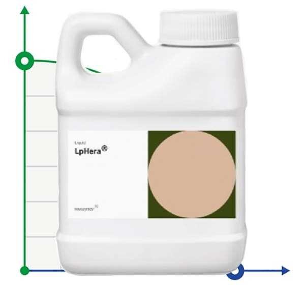 L-Fera® (LpHera®) thermostabile Alpha-Amylase