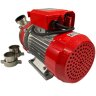 Pompe NOVAX 50M pour bière, purée, moût, lait