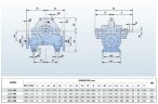 BSC4 125-365A/B, (1500) Double Suction Split Case Pump