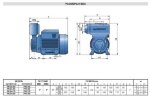 Wirbelpumpe PKS 70