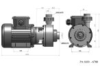 Centrifugal chemical pump DiaPump PA-6700 (2,2 kWt)
