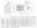 Pompe centrifuge à eau BB300/150D, AISI304, 220V/50Hz, 2900
