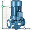IRG BGL 100-125(I) (80/5), 2,2kW, 1480 centrifugal vertical pump