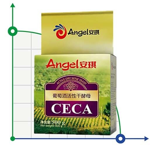 Levure œnologique Angel CECA, conditionnement - 0,5 kg