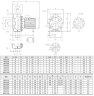 Насос из нержавеющей стали NX32/550 (200), 4 кВт, 22 м3/ч, 55м, 380V/T, AISI 304 (EBARA 3M 32-200/4)