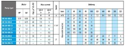 Pompa głębinowa BE 50-100-6, 220V