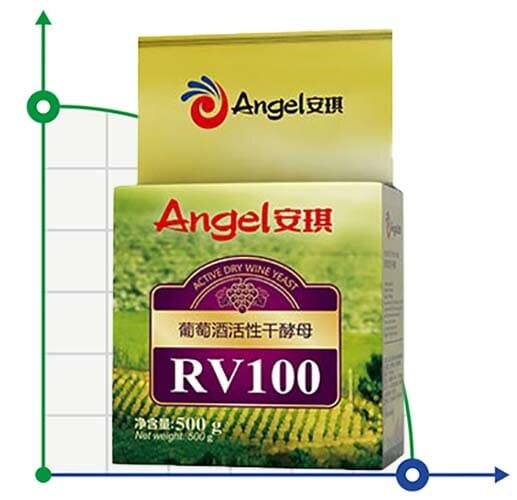 Levure œnologique Angel RV100, conditionnement - 0,5 kg