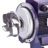 Pumpe für industrielle Waschanlagen BK200D, 1,5kW, AISI304, 220V/50Hz, 2900 mit offenem Laufrad