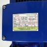 BK300 pump for the mash tun, wort BK300, 2,2kW, AISI304, 380V/50Hz, 2900 with open impeller