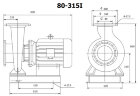 BGWH 80-315(I) (50/32), 11kW, 1450 насос нержавеющий горизонтальный