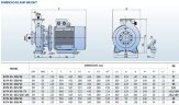 Monoblock pump for non-aggressive liquids BST4 65-250/5,5, 1500
