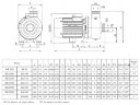 Pumpe mit offenem Laufrad BK50, 0,37kW, AISI 304, 380V/50Hz, 2900