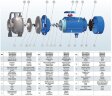 Pompe centrifuge monobloc en acier inoxydable BZ 65-160/11 pour fongicides