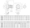 Pompe en acier inoxydable NX40/300 (125), 2,2 kW, 42 m3/h, 26,5 m, 380 V/T, AISI 304 (EBARA 3M 40-125/2.2)