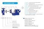 TKW 65/125-5.5/2 (50/20), 5,5 kW, 2900 насос відцентровий горизонтальний