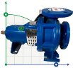BTKF 40-160 Cantilever Single Stage Pump (3000)