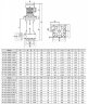 QHD-65SK, CFRETFE-5,5 kW, 720 l/min, 34m, Kingdom motor вертикальный насос для щелочей