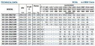 Auslegerpumpe für Kühlturm BS 150-250/1320 (660/62), 132 kW, 2900 ohne Motor