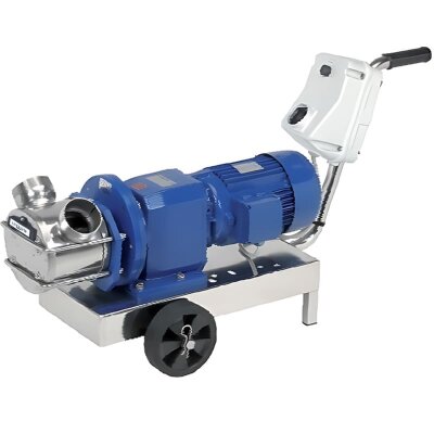 Impeller pump LIVERANI RID MAJOR 60 NR TF 2.2 kW, 700 rpm, 380V with gearmotor with trolley with CE control panel, dry-running protection