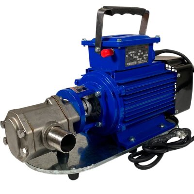 Bomba de engranajes de acero inoxidable para diésel WCB-100/220V 50Hz, 100 l/min, 30 m, AISI 304, 1,1 kW, 2900 rpm, Ex