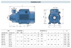 Wirbelpumpe PK 200