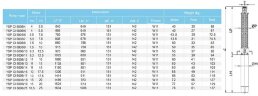 Скважинный насос YSP CI 6006/8, 7,5kW, 380V