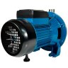 Edelstahlpumpe CPS36S, 1,5 kW, AISI 304, 220V/50Hz, 2900 U/min, für mäßig aggressive oder lebensmitteltaugliche Flüssigkeiten (Typ Ebara CDXM 120/20)