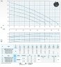 Tauchpumpe Dreno VM-EX 65/2/125 C.336 mit Vortex-Laufrad