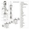 CDLF 85-50-2, AISI 316  mehrstufige Pumpe