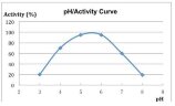 Pilzendo-alpha-Amylase SQzyme FAL, kg