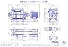 PW.5.21.1.1100 zweistufige Vakuumpumpe