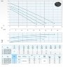 Dreno BIC 40-2/056 M/G Drainage Tauchpumpe mit zweikanaligem Laufrad