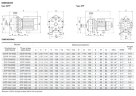 GTP 70/110D Kreiselpumpe für Bier, Maische, Würze
