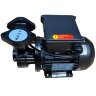 Pompe à huile vortex WM-033S, 220V -30°C+200°C
