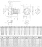 Stainless steel pump NX65/1500 (160), 11 kW, 138 m3/h, 40.5 m, 380V/T, AISI 304 (EBARA 3M 65-160/11)