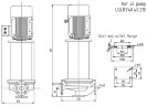 Pompe verticale à huile chaude LQLRY40-40-210/2-C, 6,3 m3/h, 50 m, 4 kW, 2900 rpm, Ex