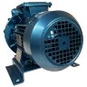 Pompa próżniowa do suszenia ESV 115/30, 25 m3/h, 0,75 kW, 3000 obr.