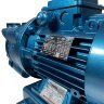 Pompe à vide à anneau d'eau pour le séchage ESV 130/65, 78 m3/h, 2,2 kW, 3000 tr/min