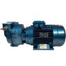 Pompe à vide à anneau d'eau ESV 150/50, 110 m3/h, 3 kW, 3000 tr/min