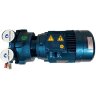 Pompe à vide à anneau d'eau ESV 150/50, 110 m3/h, 3 kW, 3000 tr/min