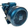 Pompe à vide à anneau d'eau ESV 150/50, 110 m3/h, 3 kW, 3000 tr/min