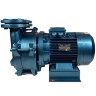 Bomba de vacío de anillo de agua ESV 210/80, 145 m3/h, 4,0 kW, 1450 rpm