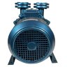 Bomba de vacío de anillo de agua ESV 210/80, 145 m3/h, 4,0 kW, 1450 rpm